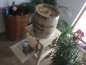 Preview: Bierfass Holzkeg 20 Liter mit VA Blase